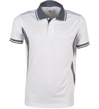 POLO TECNICA